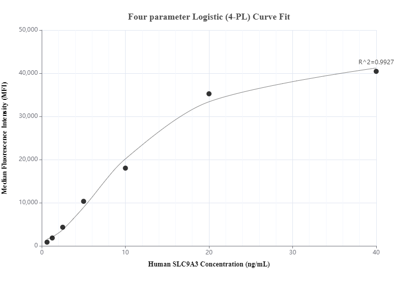 Cytometric bead array standard curve of MP00818-2, SLC9A3 Recombinant Matched Antibody Pair, PBS Only. Capture antibody: 83832-5-PBS. Detection antibody: 83832-3-PBS. Standard: Ag25637. Range: 0.625-40 ng/mL.  